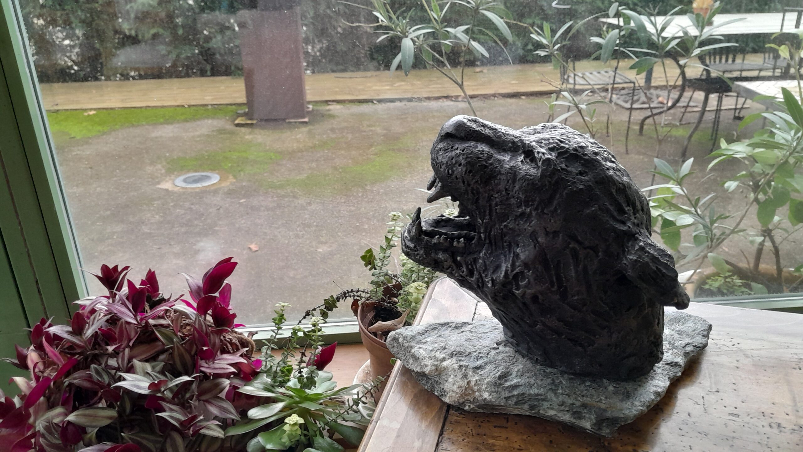 Yaguara jardin