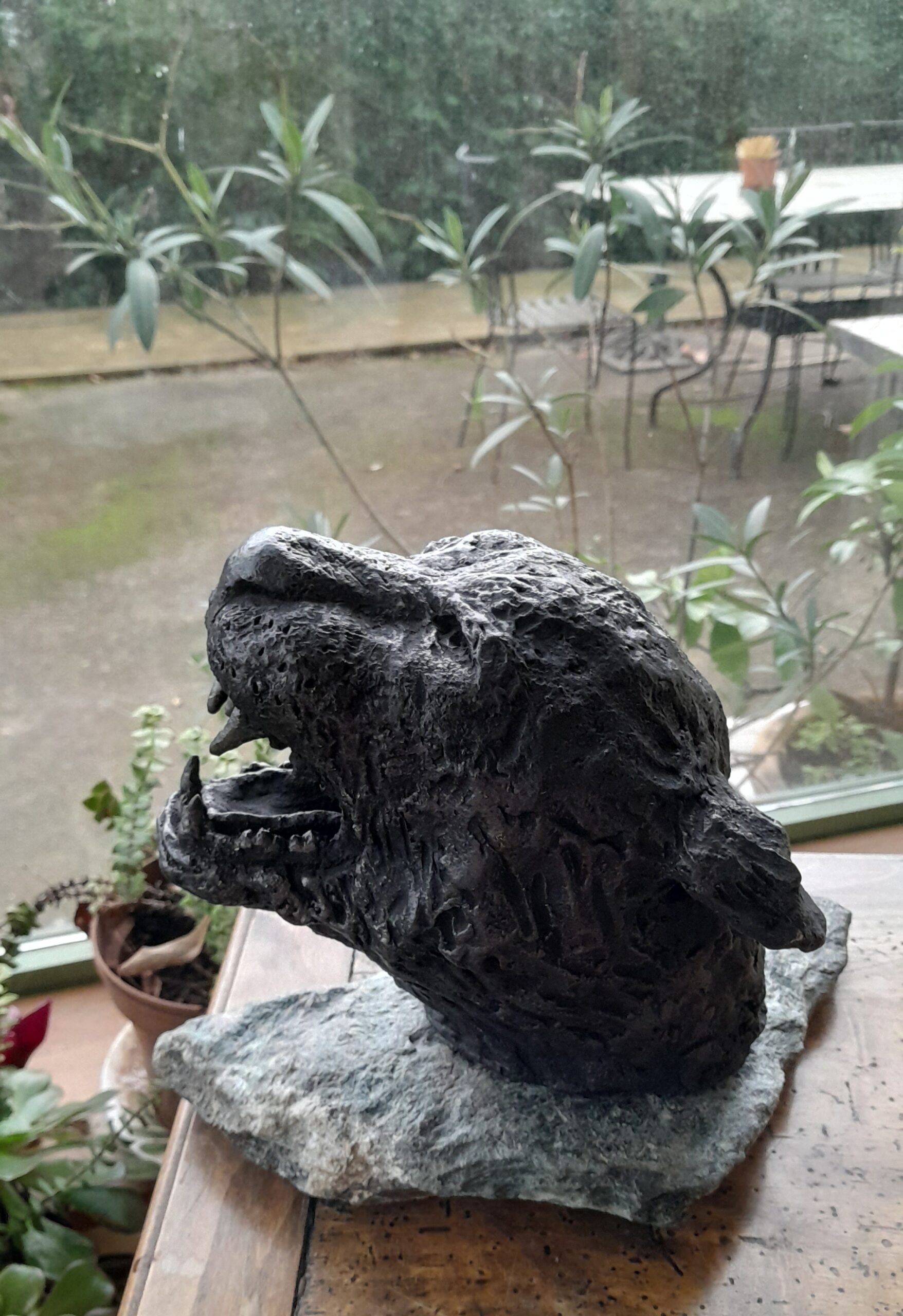 Yaguara profil gauche